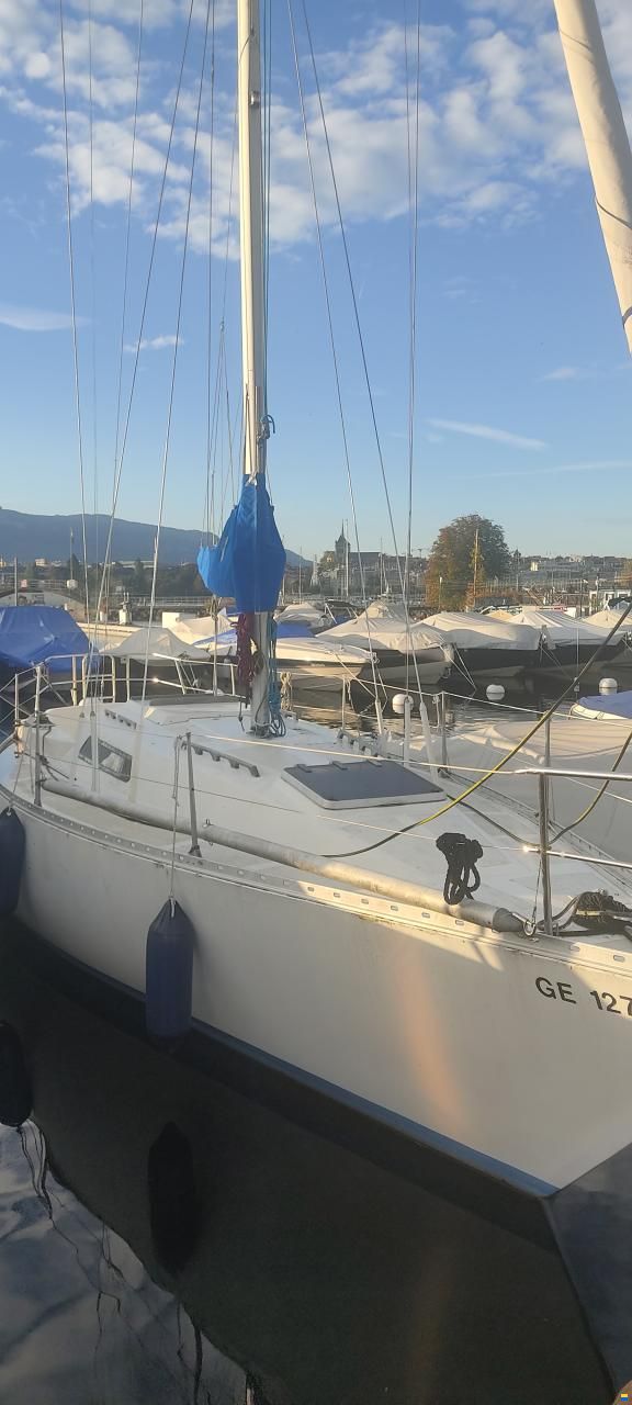 Colvic UFO 34 Z 88 (1982)