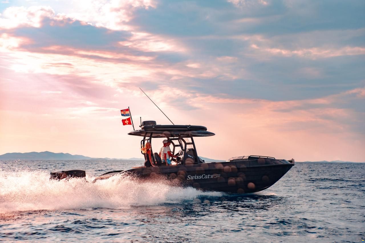 Swiss Cat 31