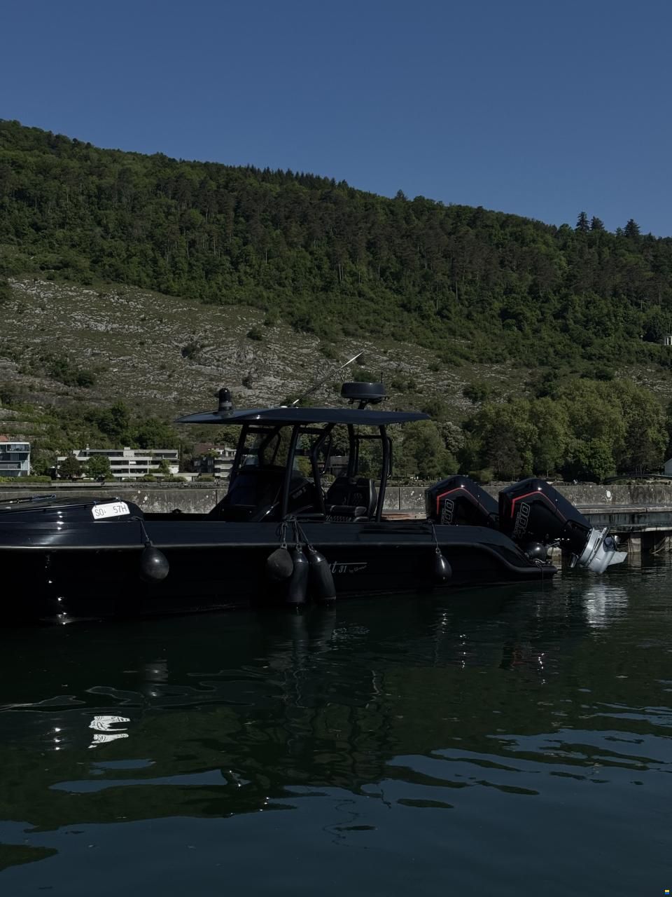 Swiss Cat 31