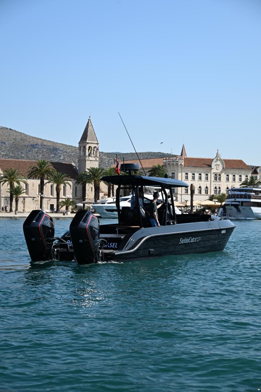 Swiss Cat 31