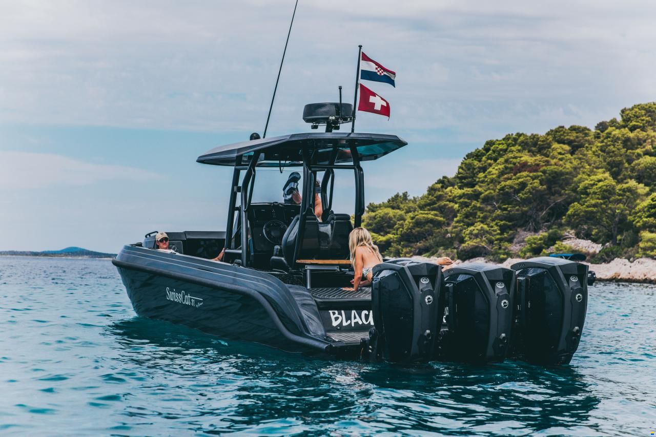 Swiss Cat 31