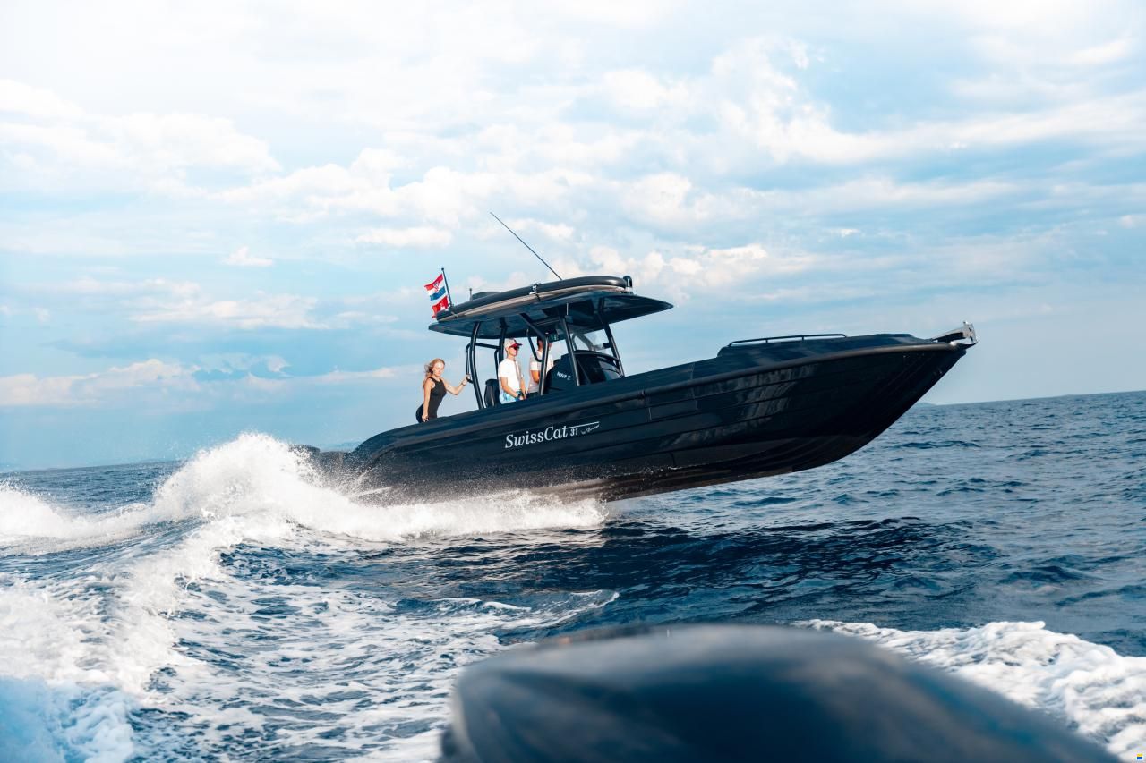 Swiss Cat 31