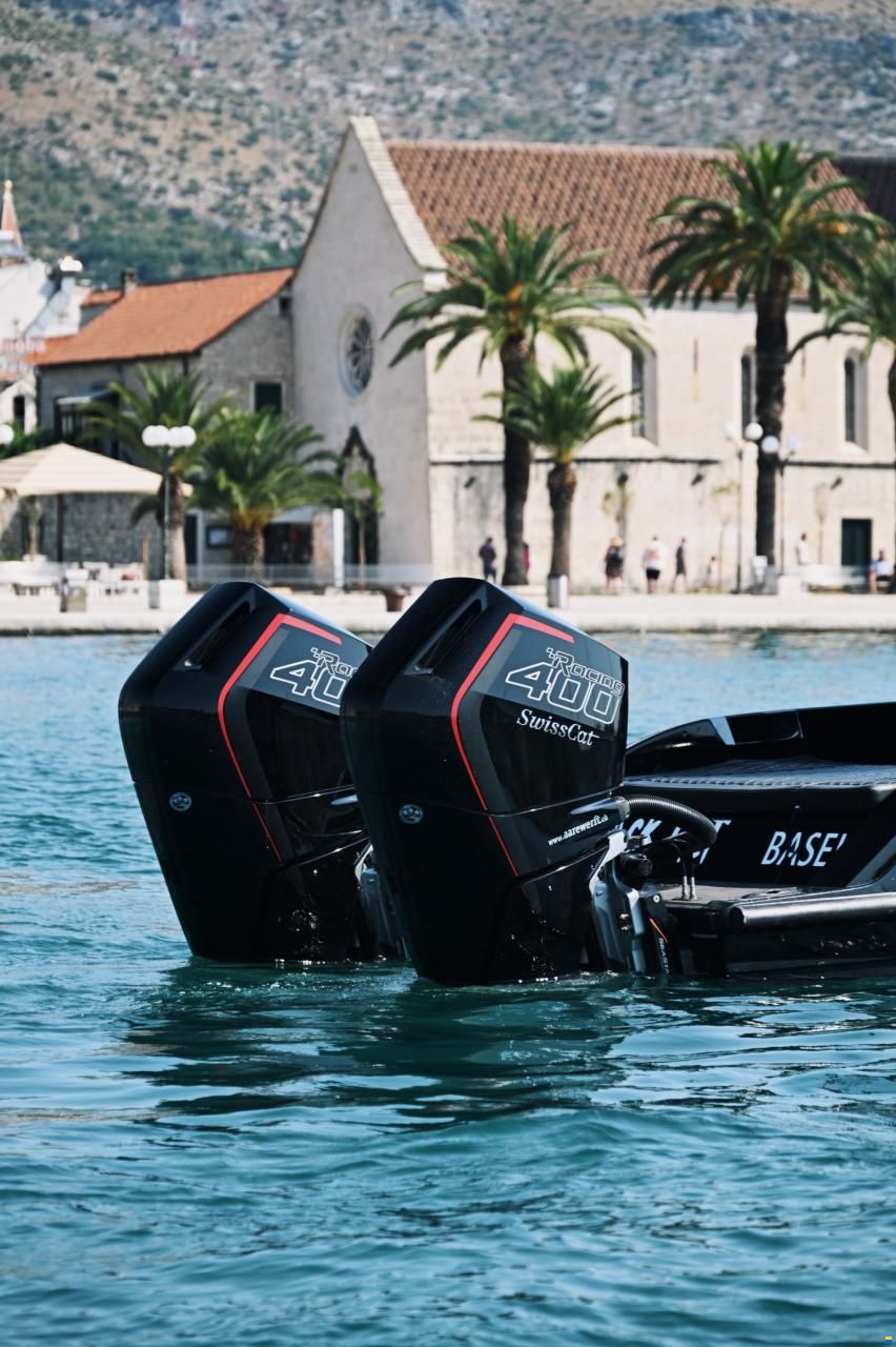 Swiss Cat 31