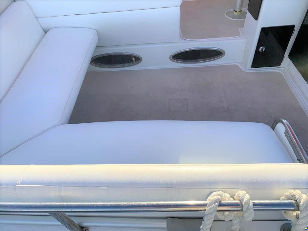Celebrity 310
