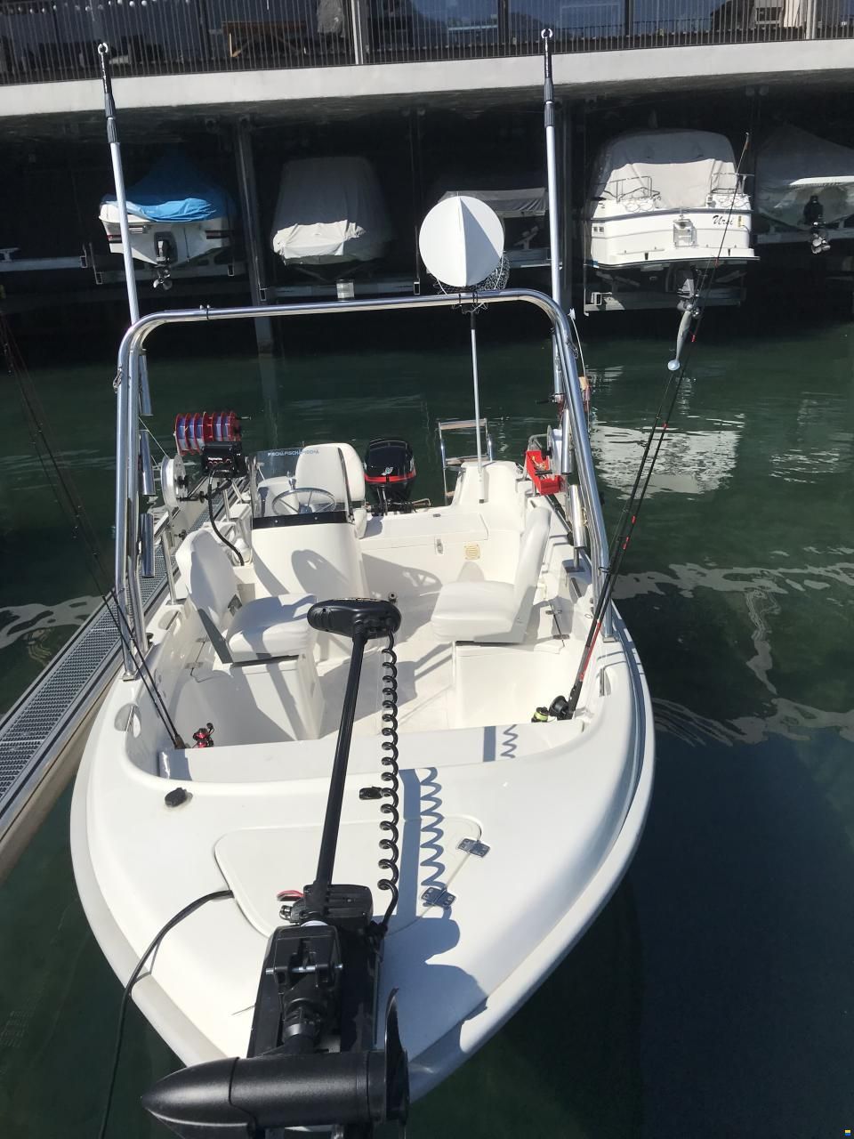Quicksilver 500 Fish