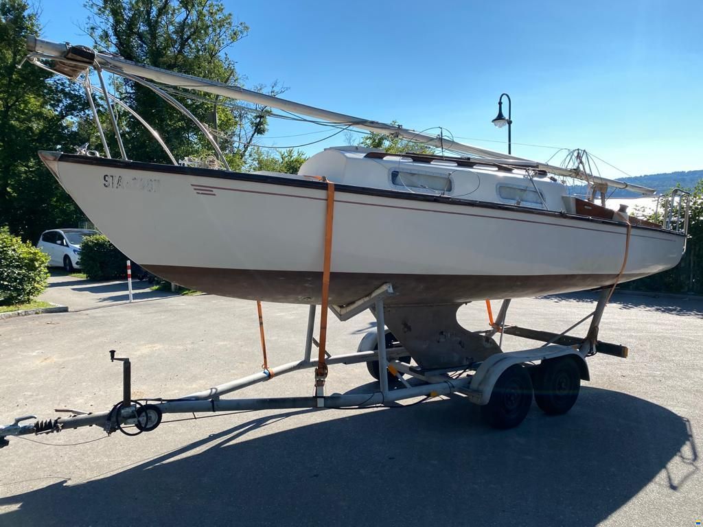 Shark24