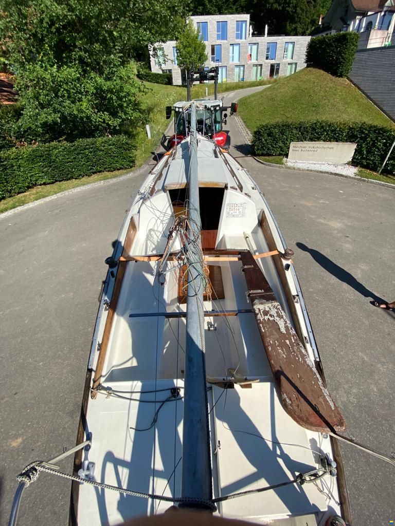 Shark24