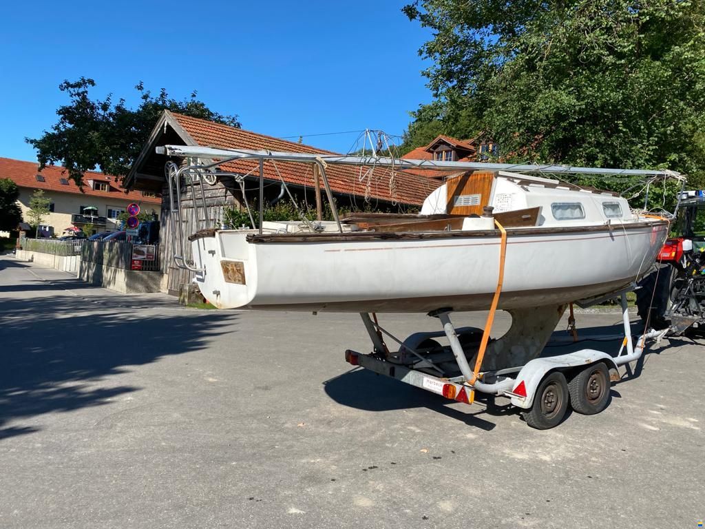 Shark24