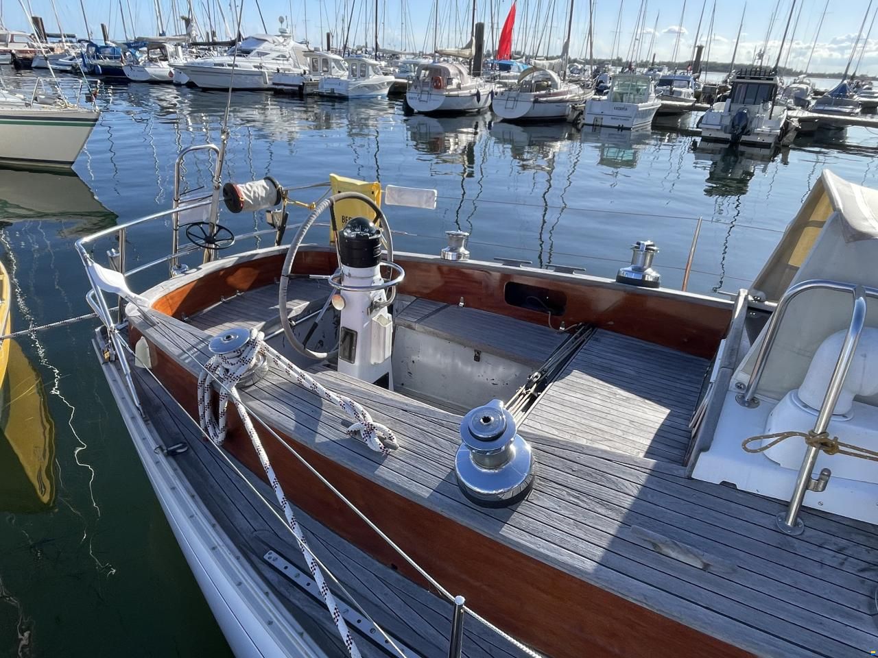 Wilenus 38