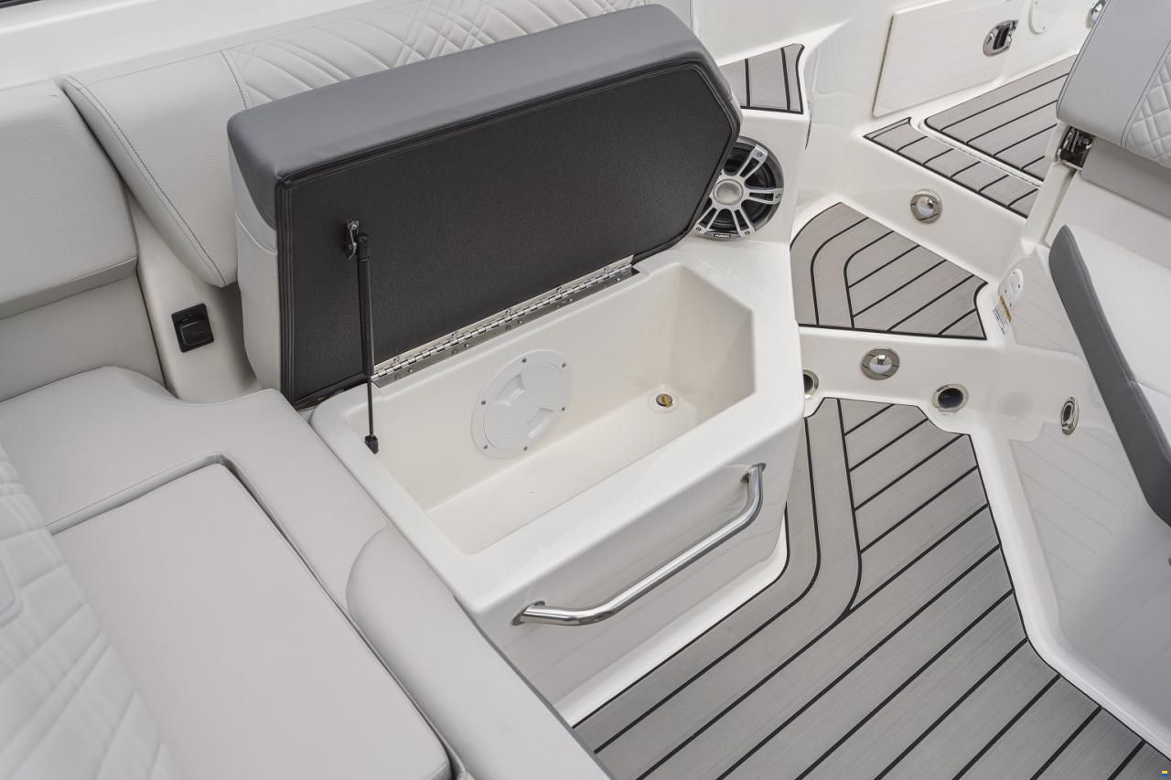 Sea Ray SDX 250 Europe