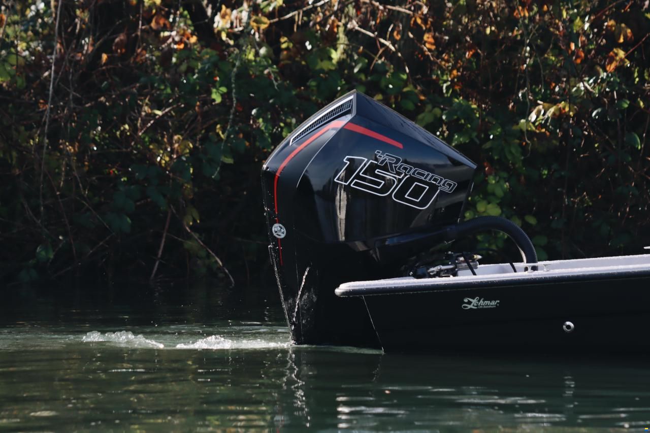 Swiss Cat 21 Black Edition