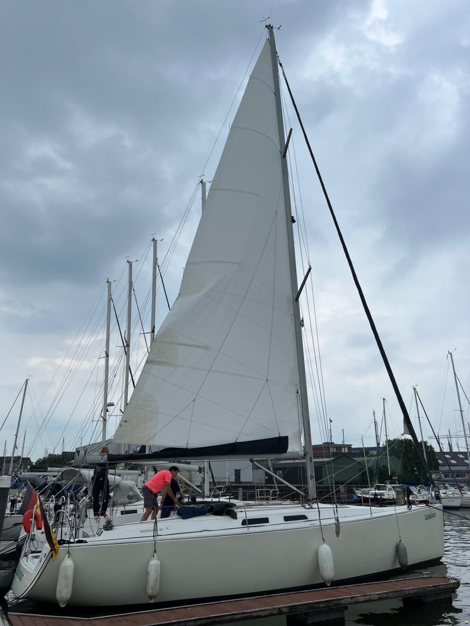 Varianta 44