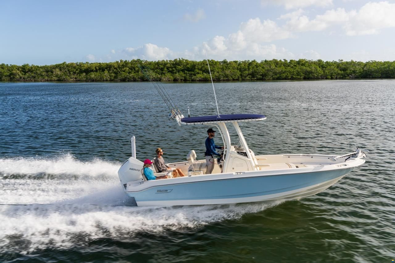 Boston Whaler 220 Dauntless