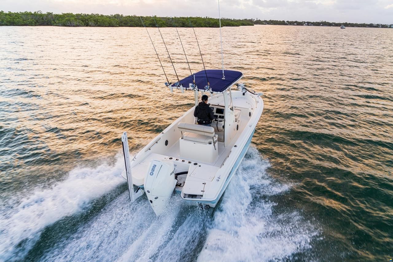 Boston Whaler 220 Dauntless
