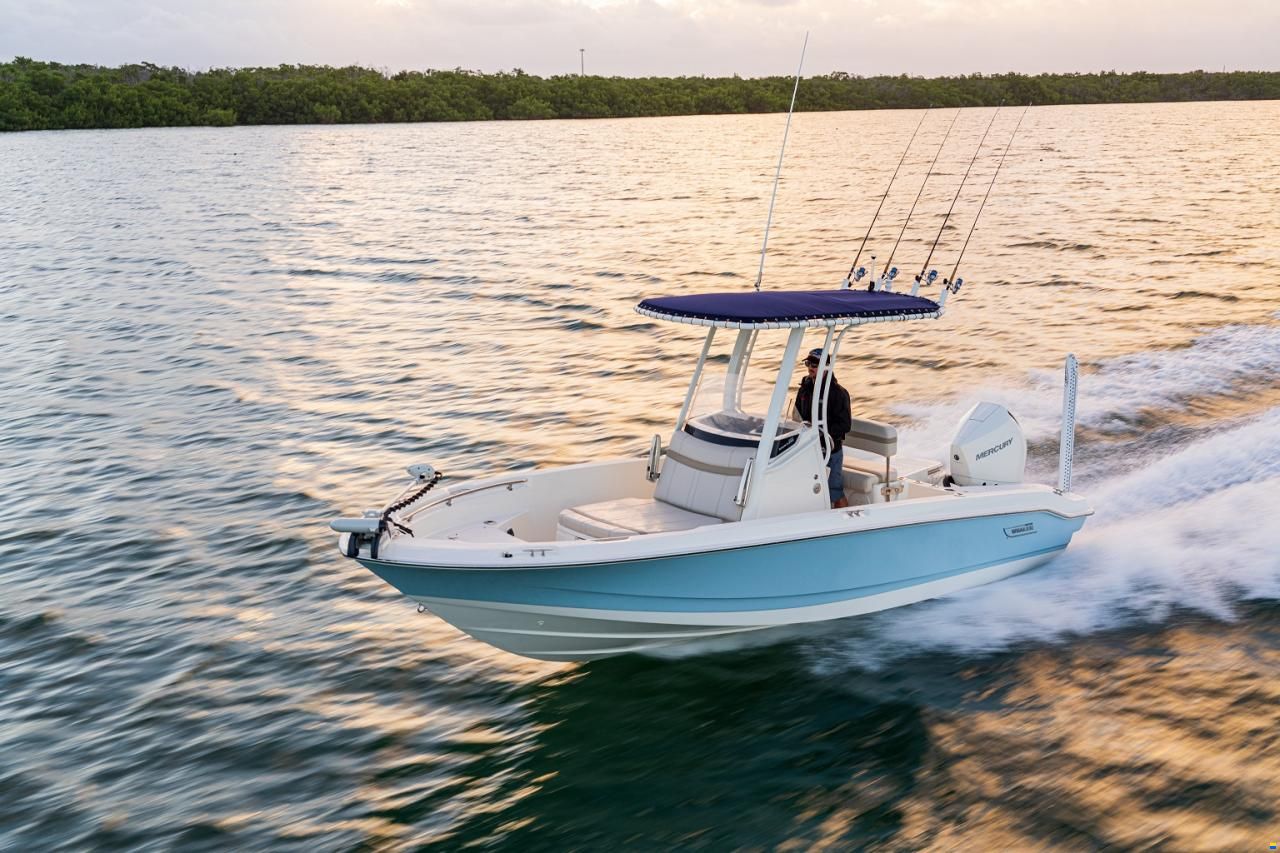 Boston Whaler 220 Dauntless