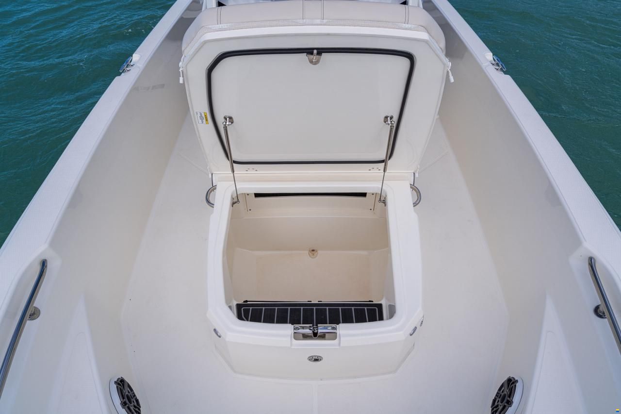 Boston Whaler 220 Dauntless