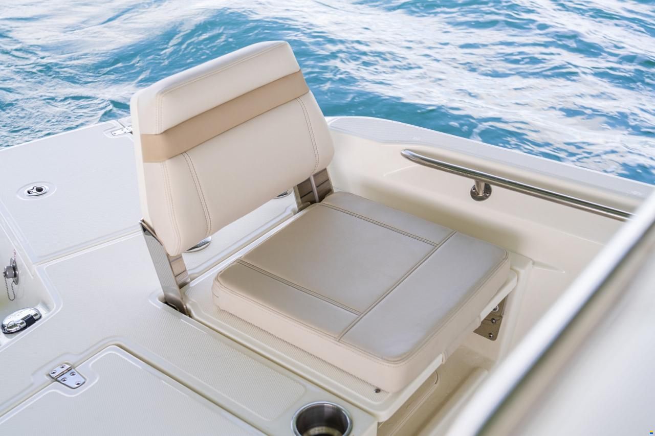 Boston Whaler 250 Dauntless