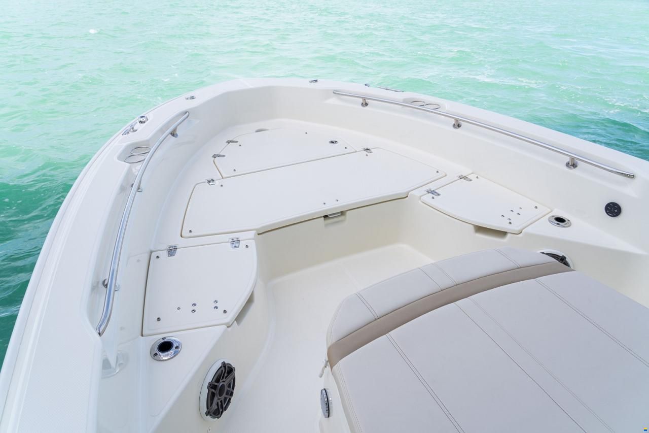 Boston Whaler 250 Dauntless