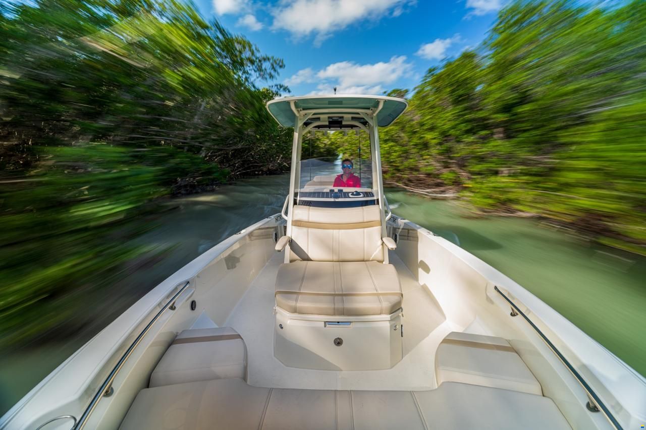 Boston Whaler 250 Dauntless