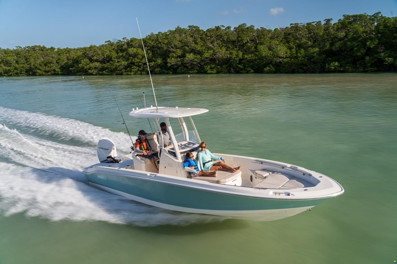 Boston Whaler 250 Dauntless