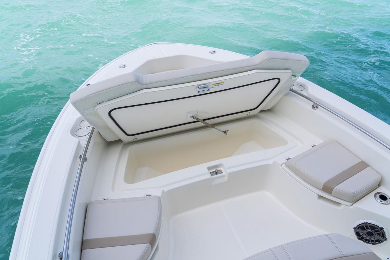 Boston Whaler 250 Dauntless
