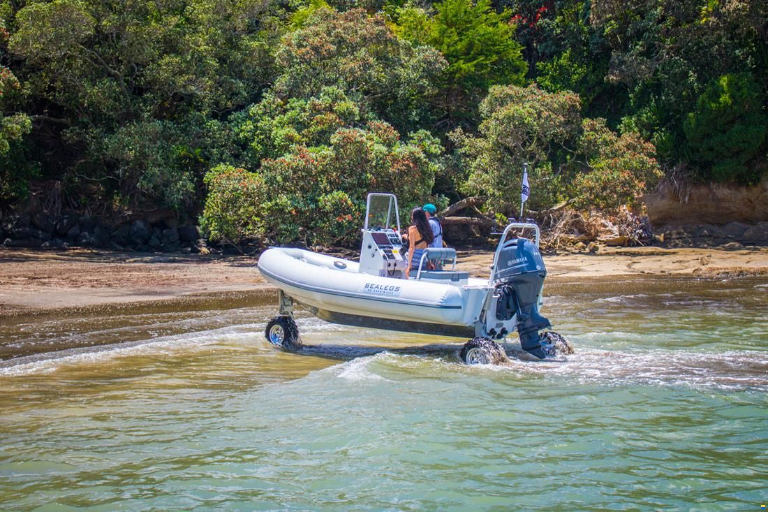 Sealegs 6.1M SPORT RIB