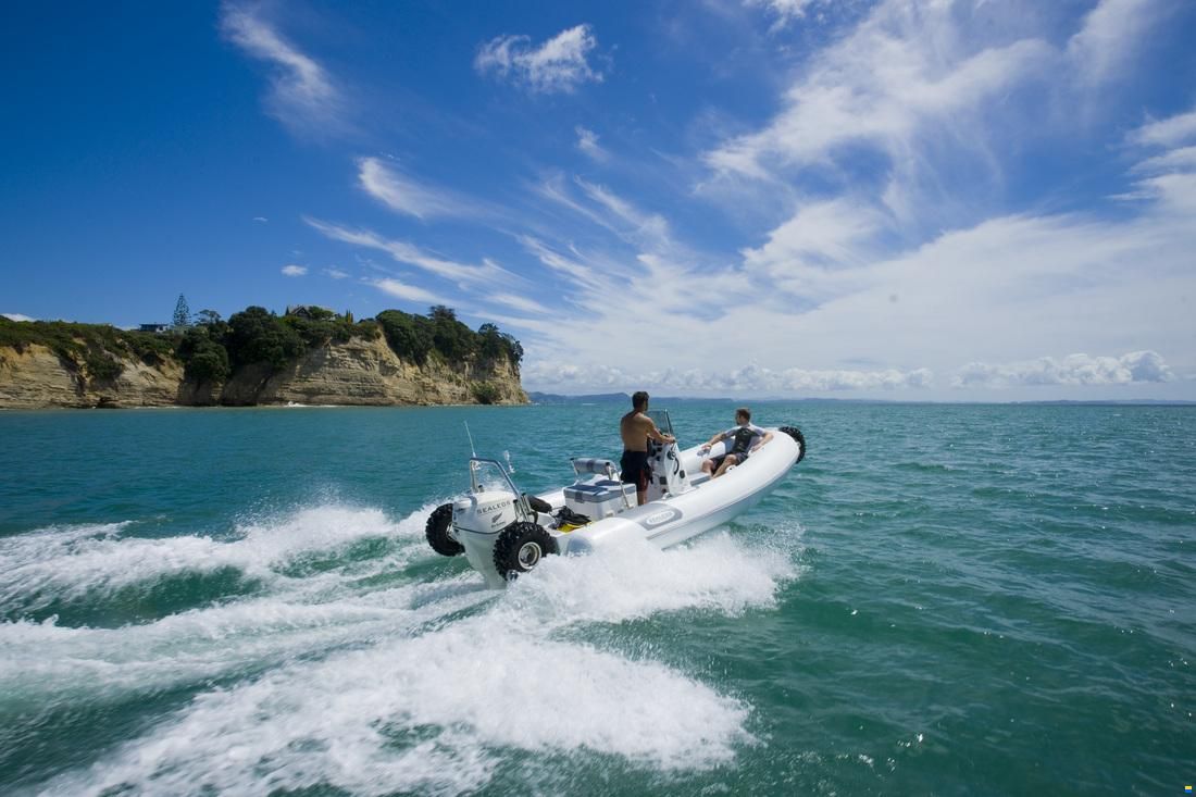 Sealegs 6.1M SPORT RIB