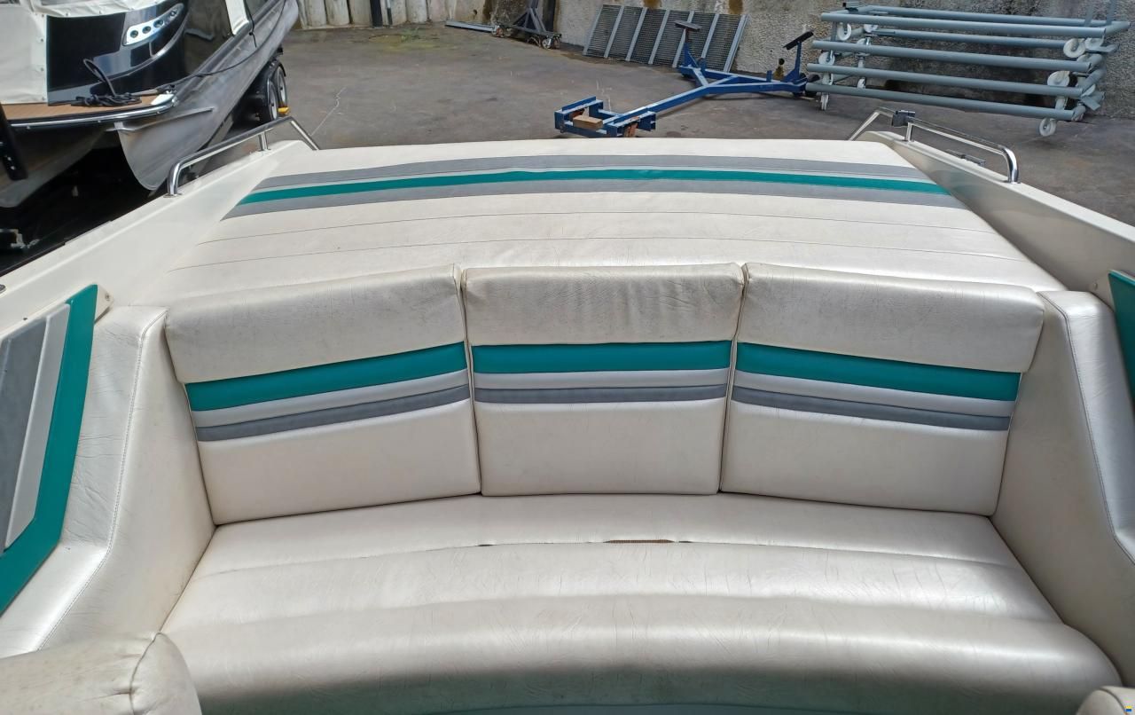 Cruisers 2500 Rogue 25 SP