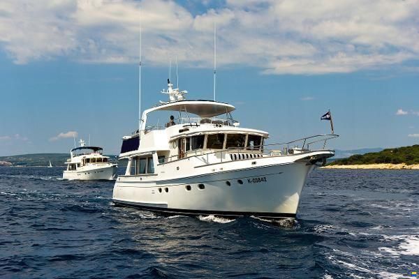 Selene 54