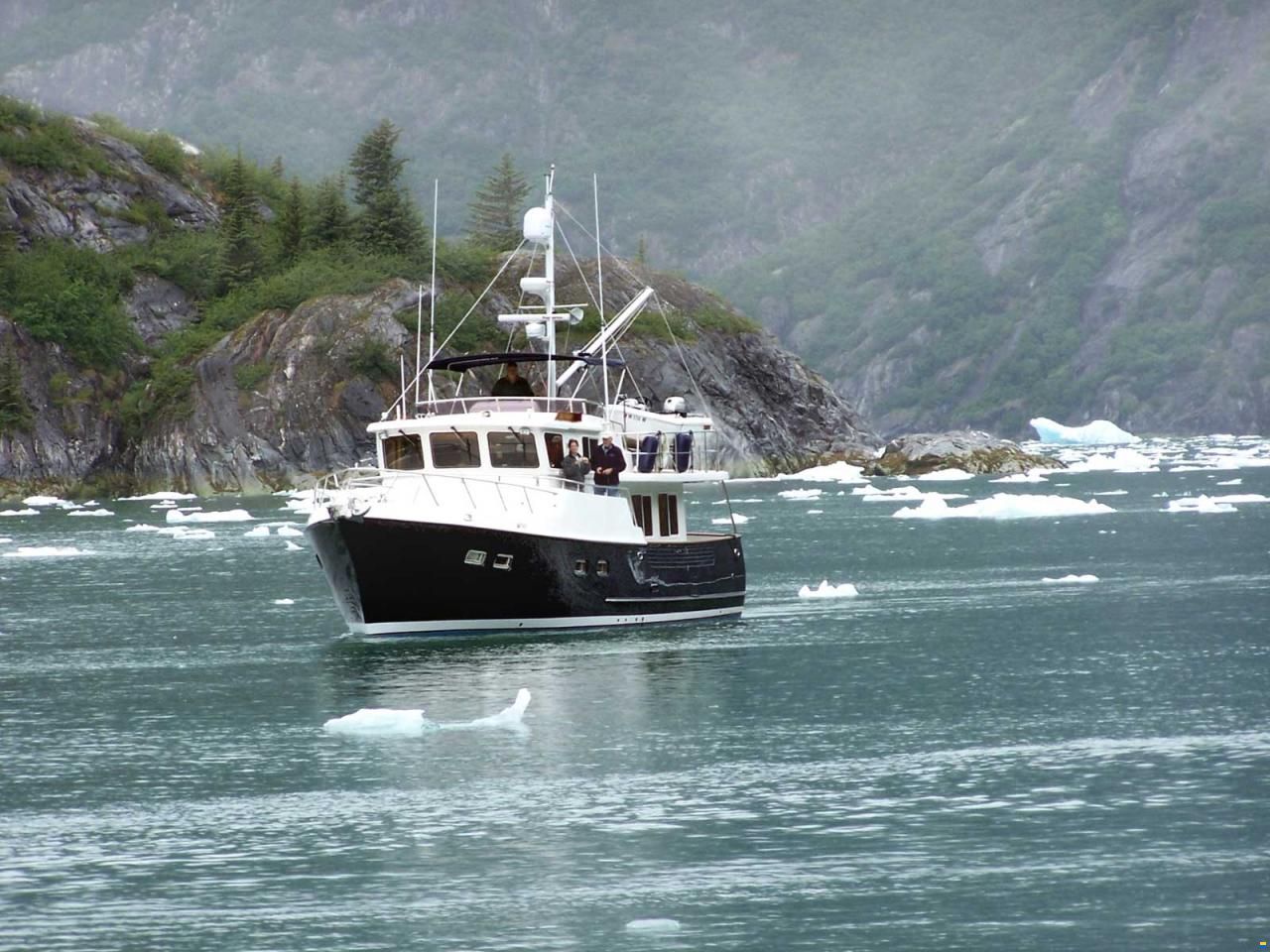 Selene 49