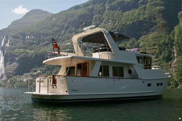 Selene 49