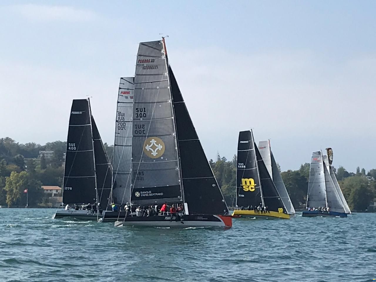 Psaros 33