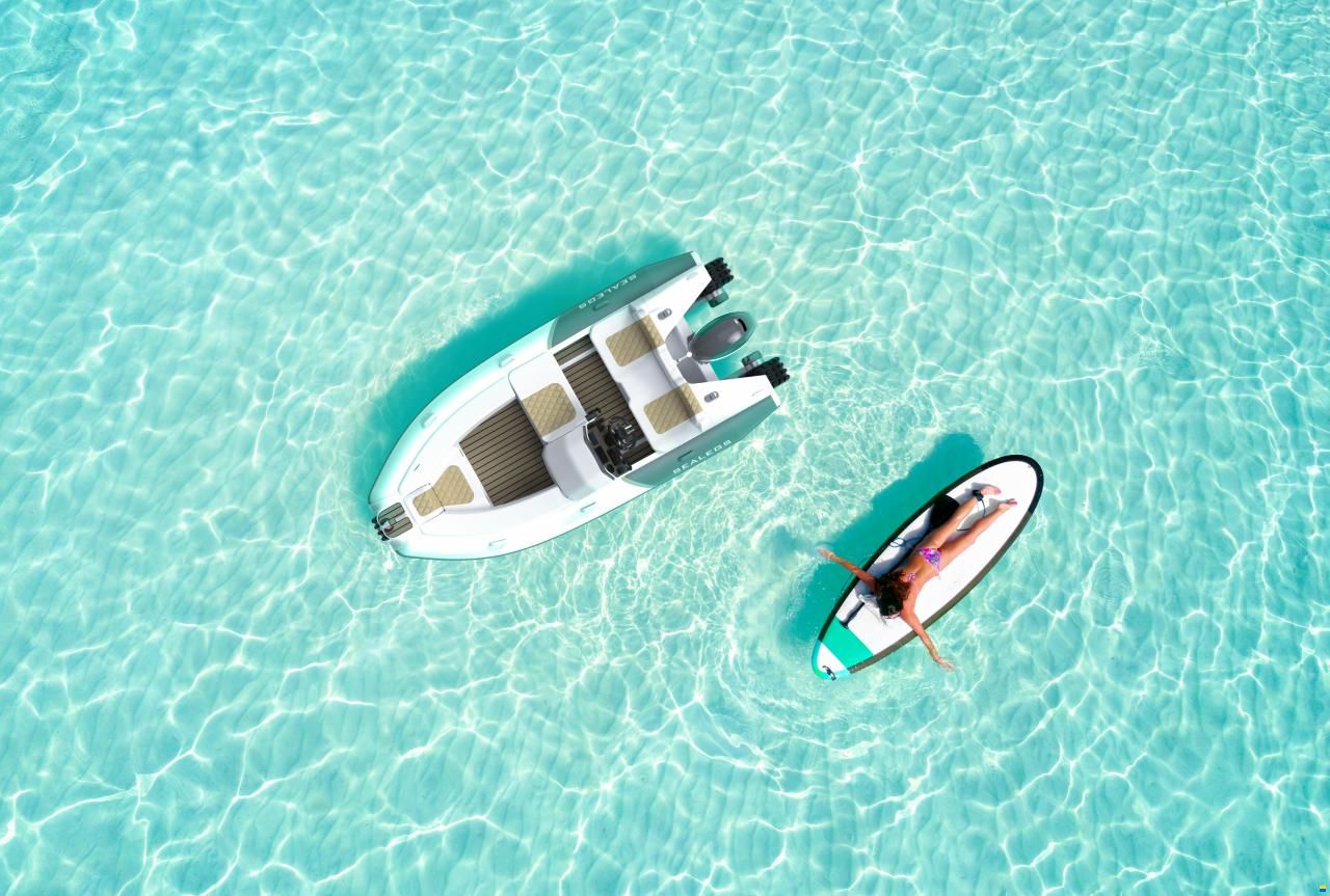 Sealegs 3.8 m Tender
