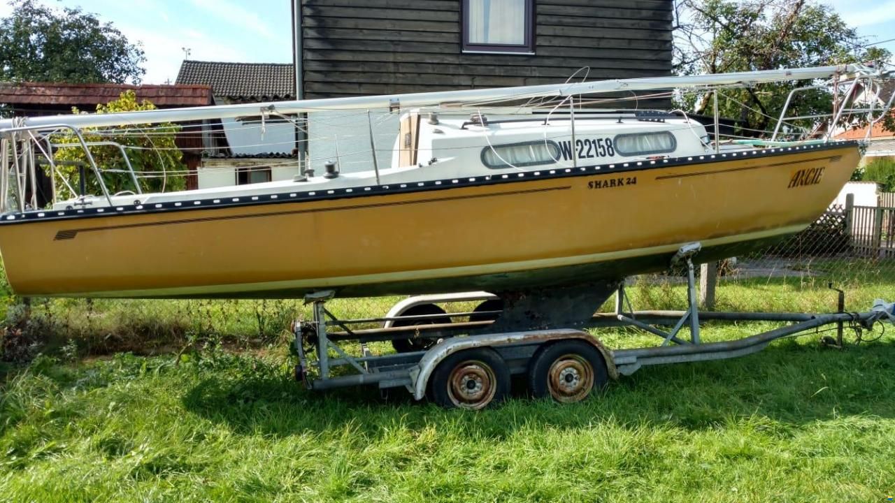 Shark 24