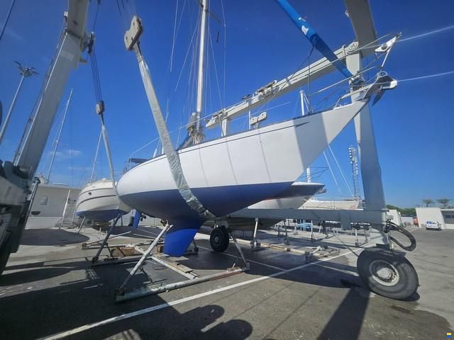 PUMA 34