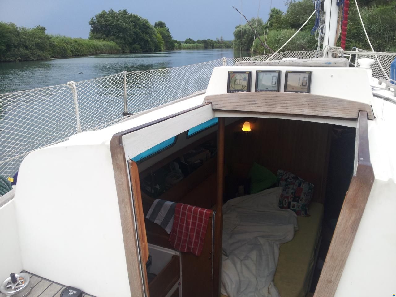 Carter 30