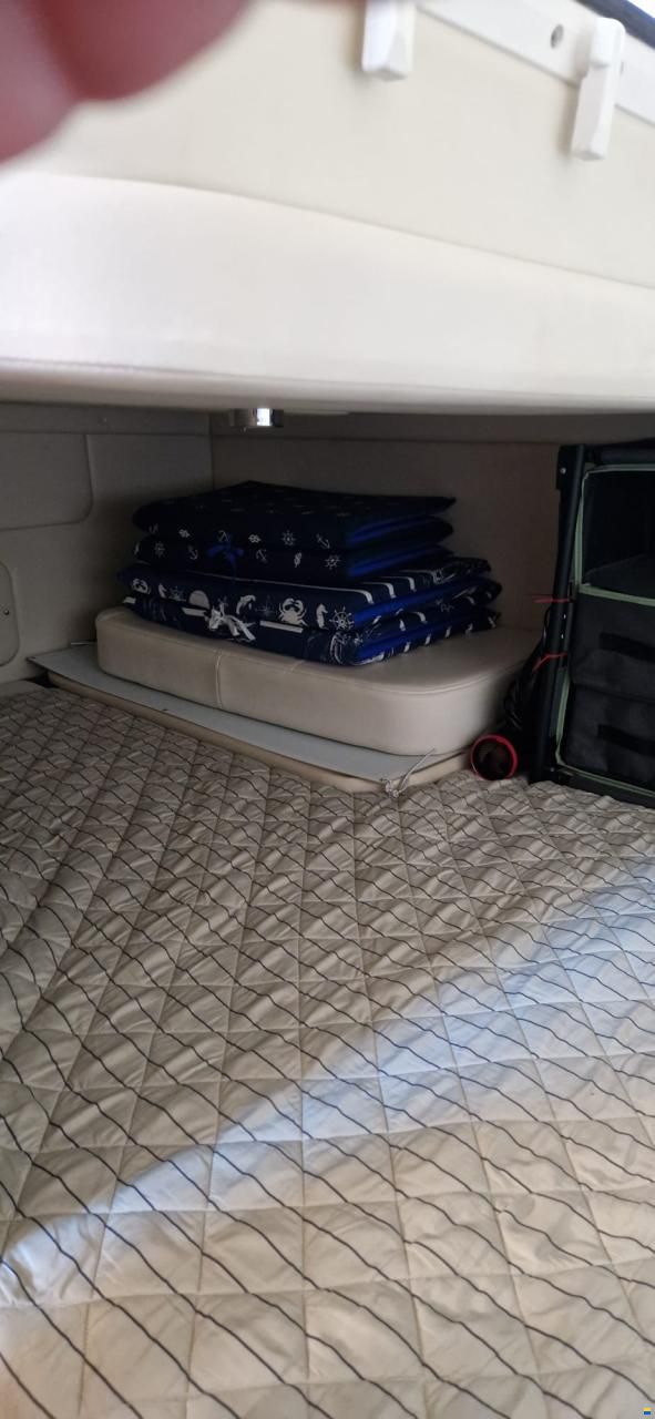Bayliner 255 / 245