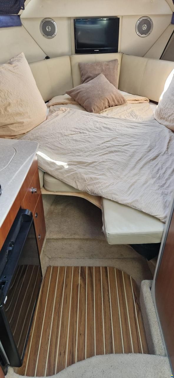 Bayliner 255 / 245