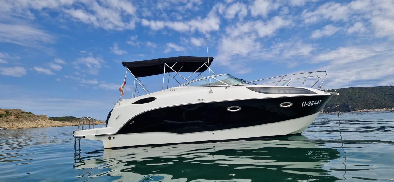 Bayliner 255 / 245