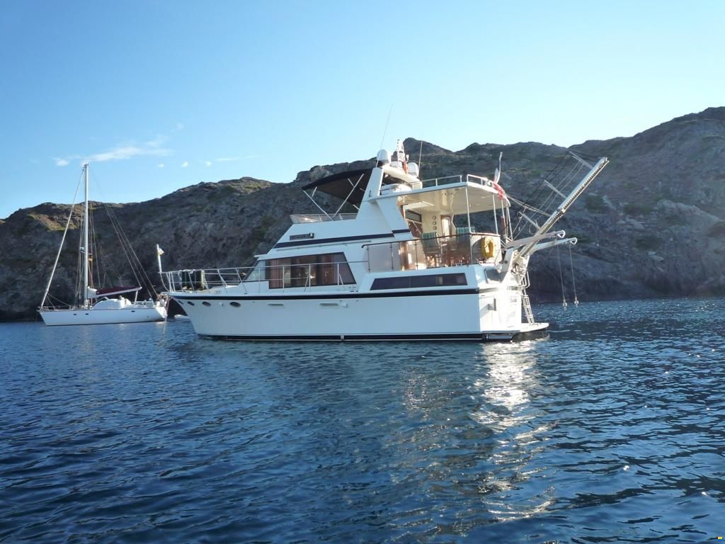 Tradewind Tradwind 43 bahamas