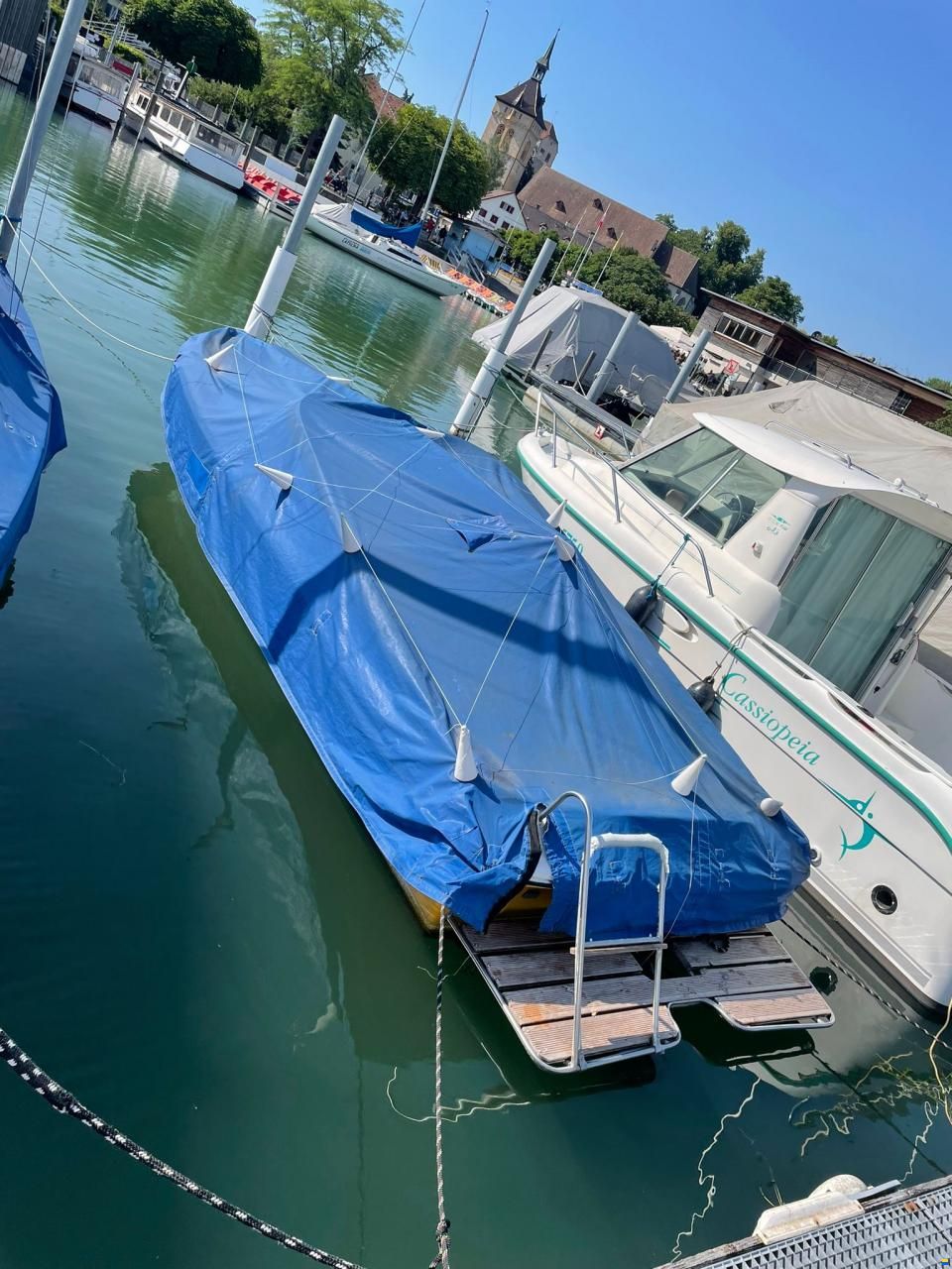 Tullio Abbate Sea Star