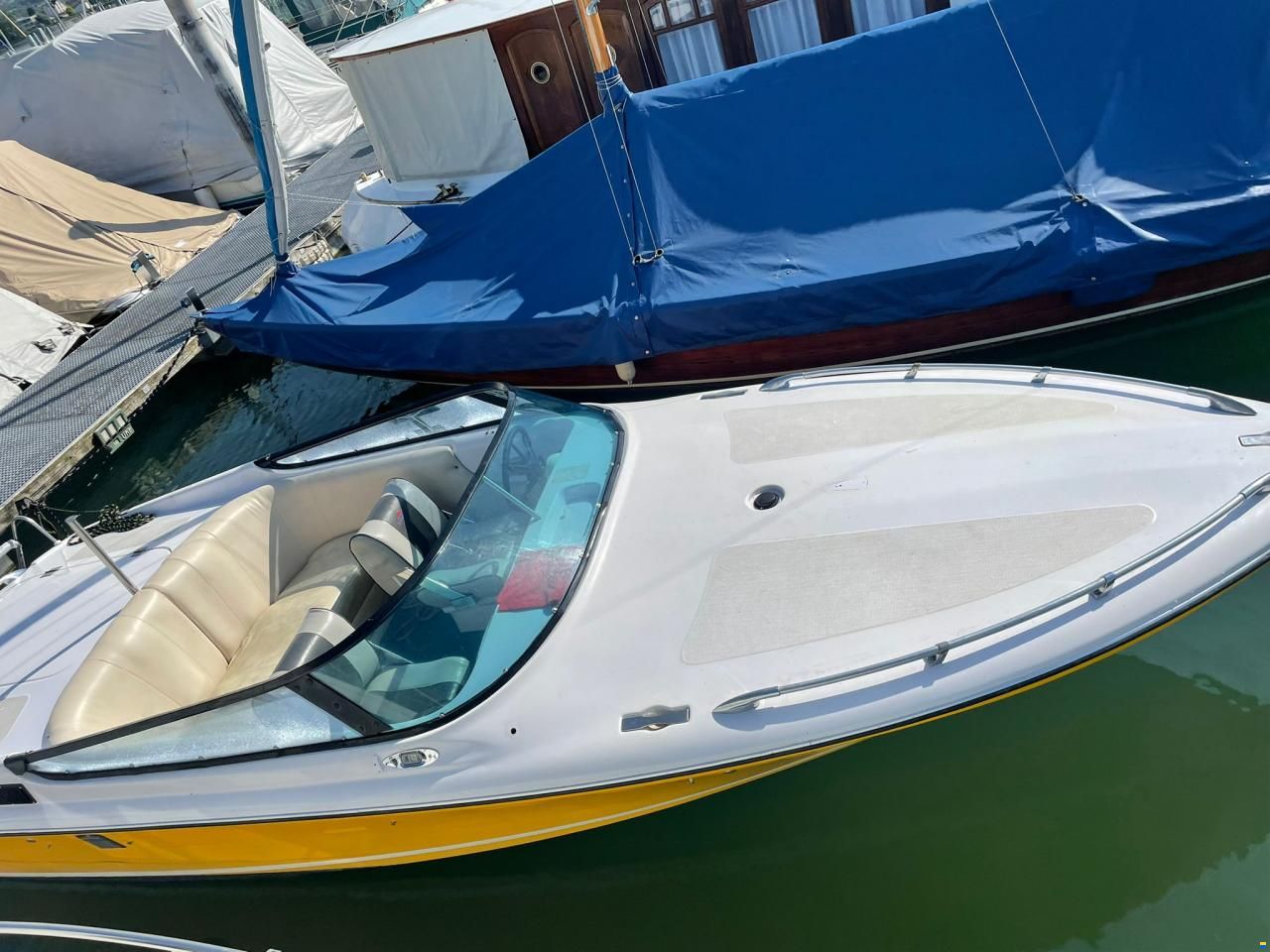 Tullio Abbate Sea Star