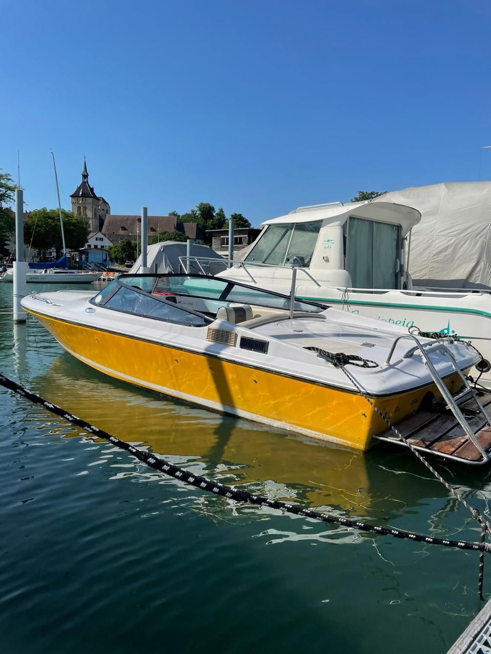 Tullio Abbate Sea Star