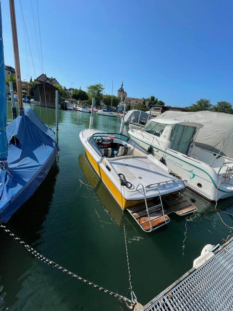 Tullio Abbate Sea Star