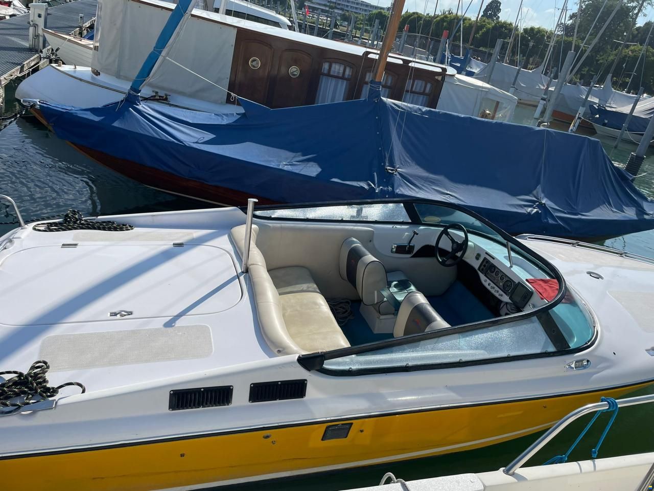 Tullio Abbate Sea Star