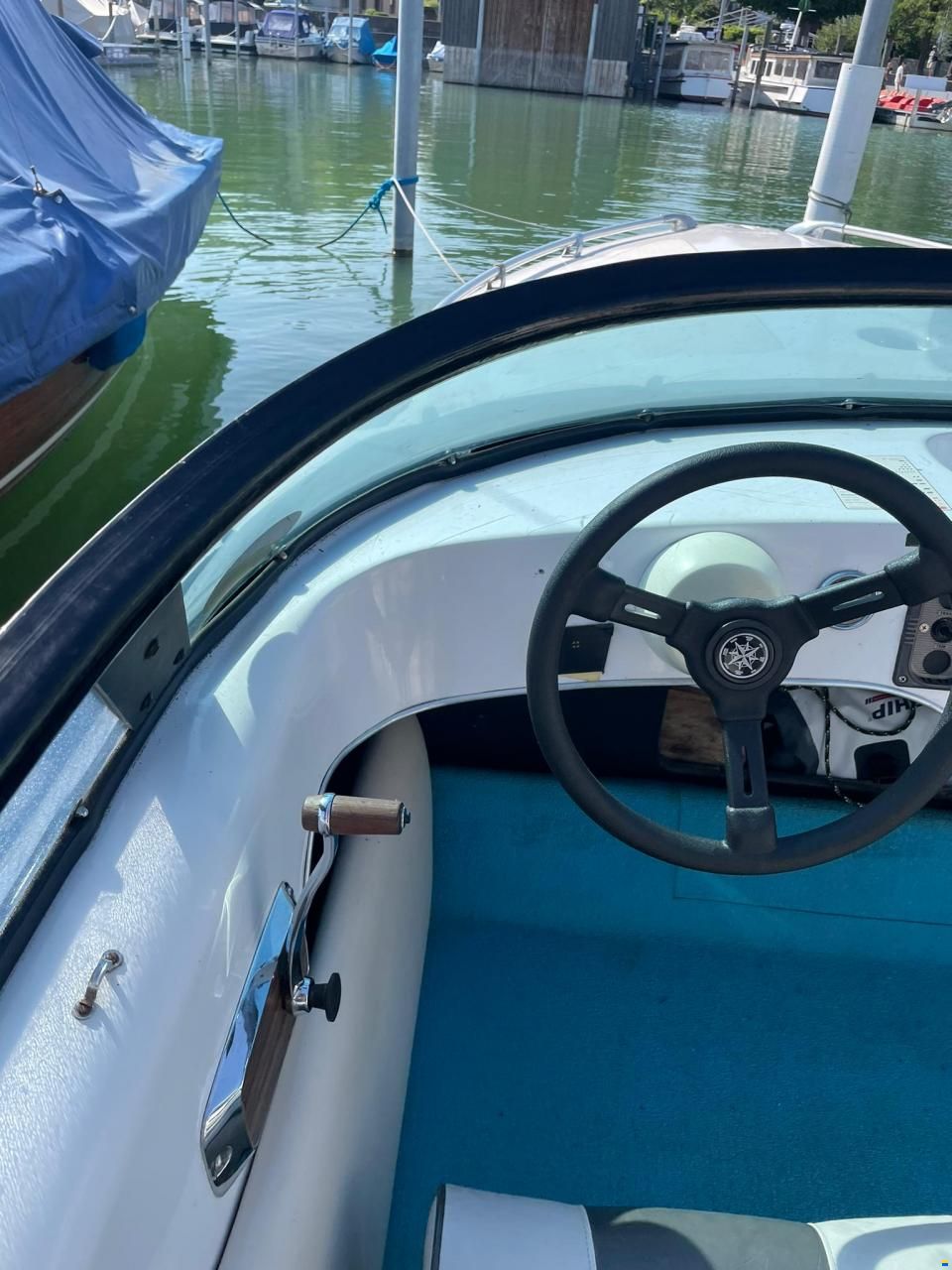 Tullio Abbate Sea Star