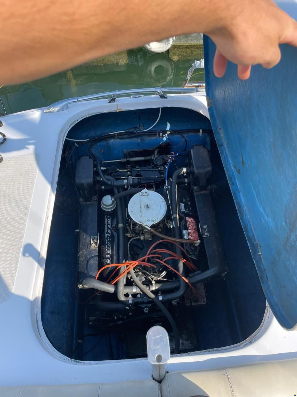 Tullio Abbate Sea Star