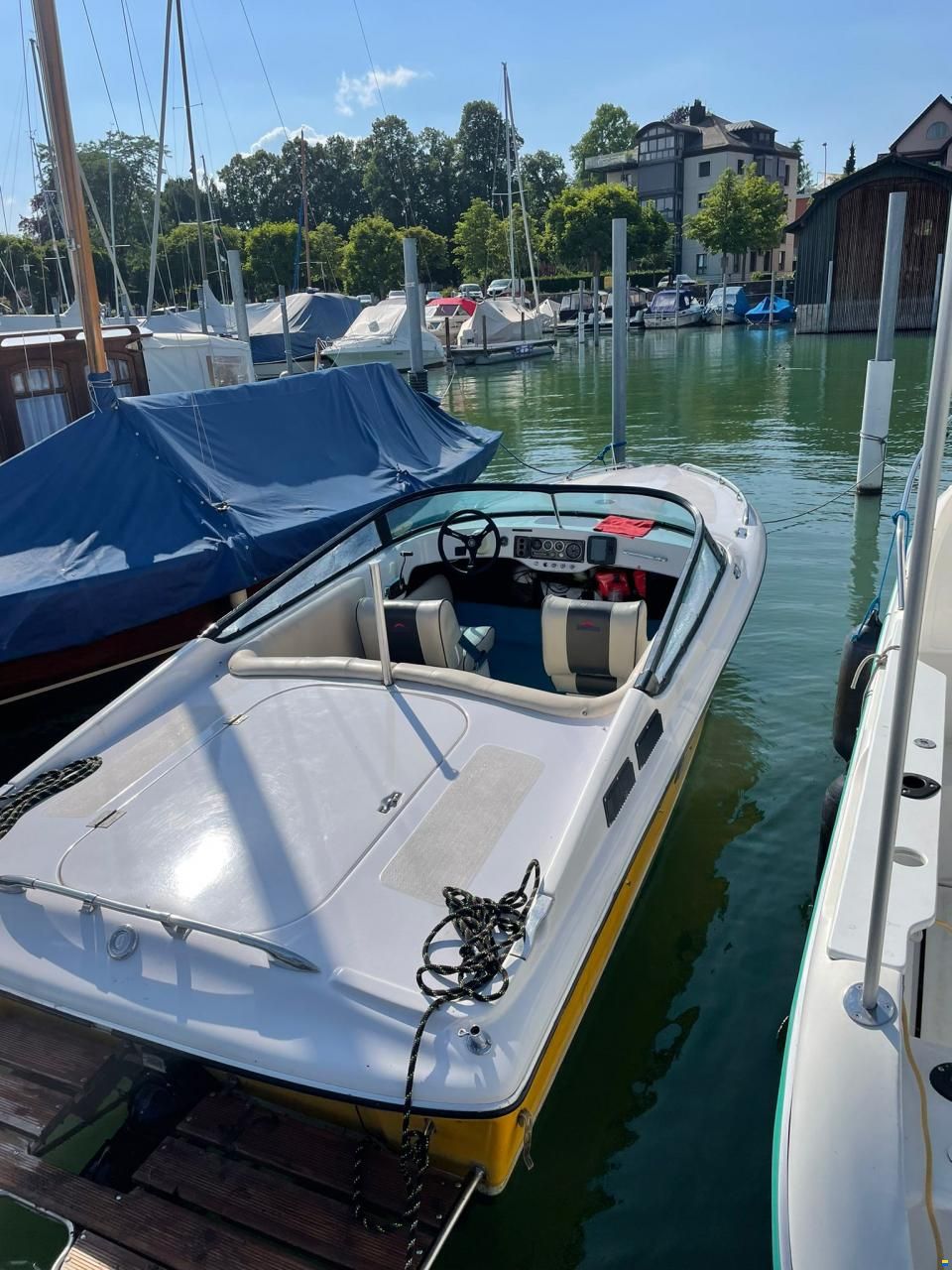 Tullio Abbate Sea Star