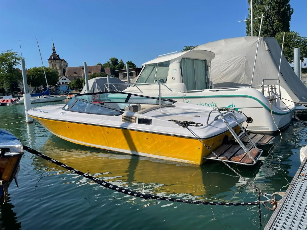 Tullio Abbate Sea Star