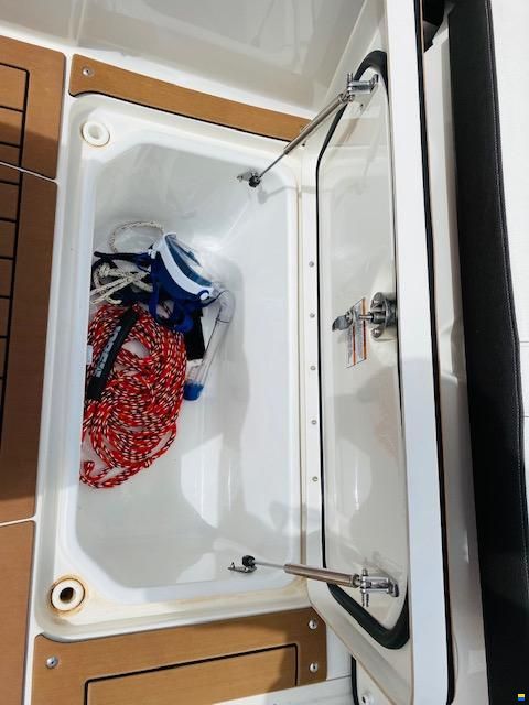 Sea Ray SDX 250